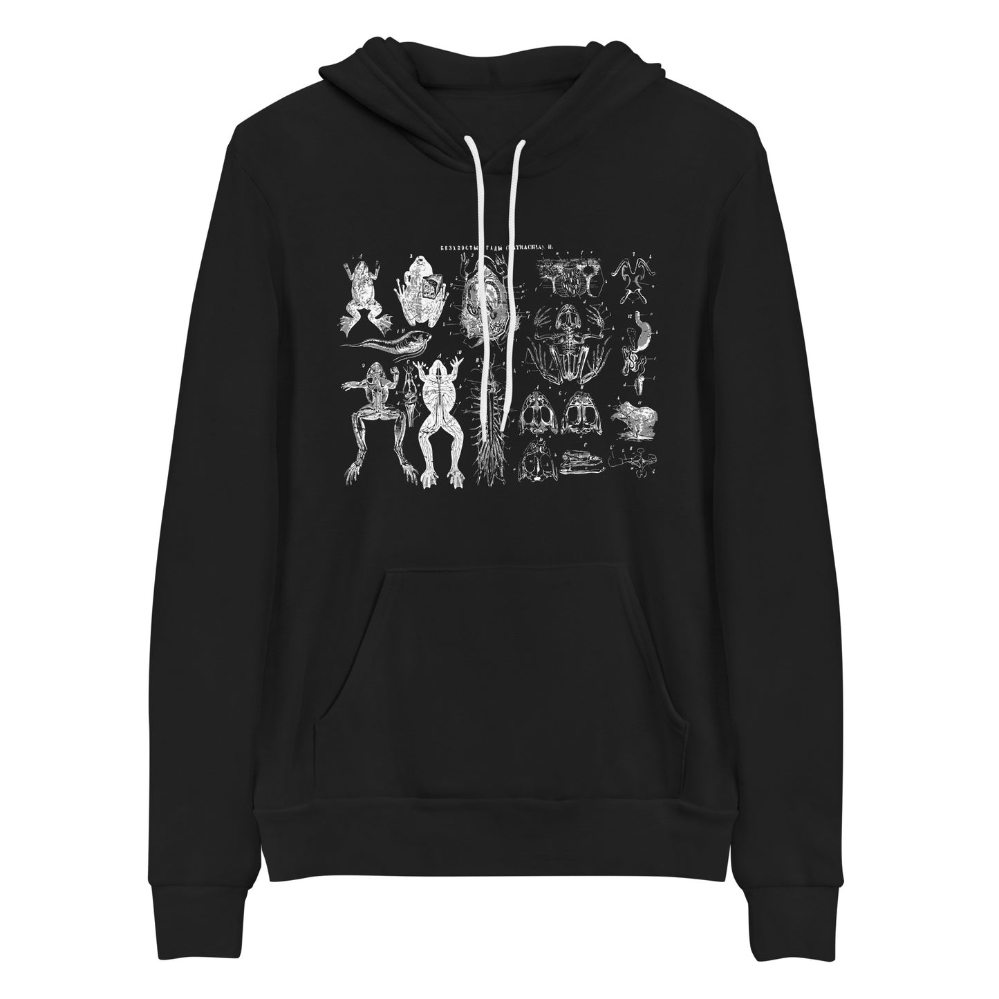 Frog Anatomy Unisex hoodie