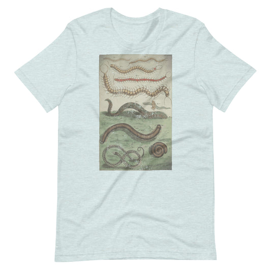 Centipede Millipede Unisex t-shirt