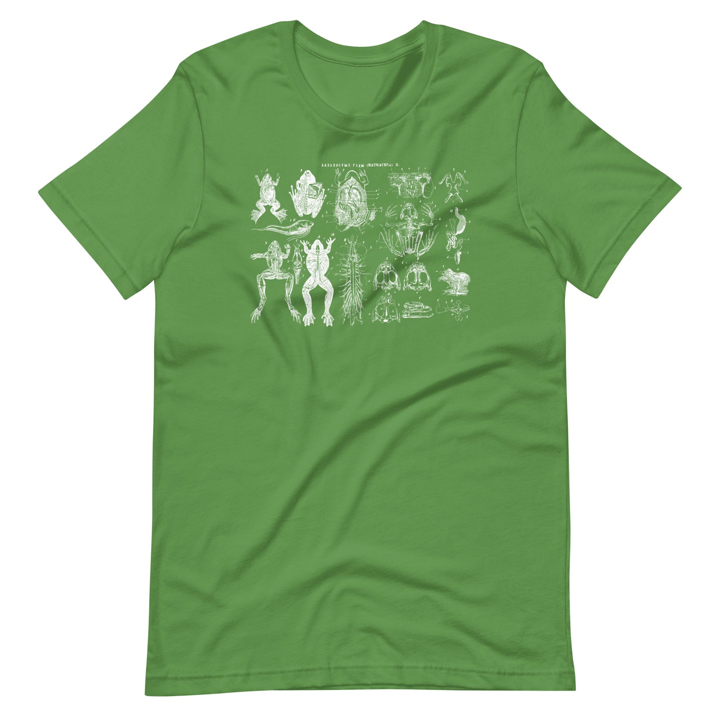 Frog Anatomy Unisex t-shirt