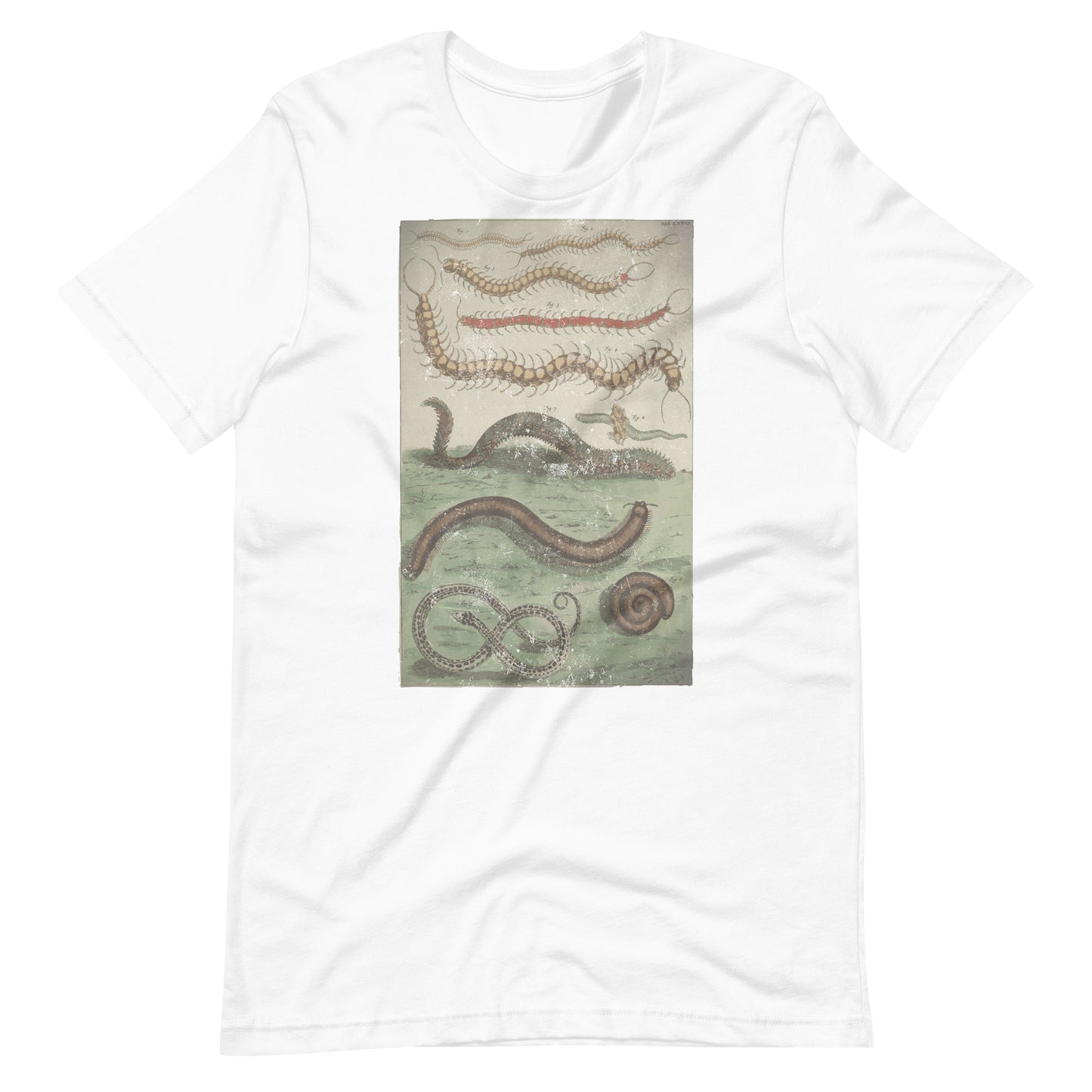 Centipede Millipede Unisex t-shirt